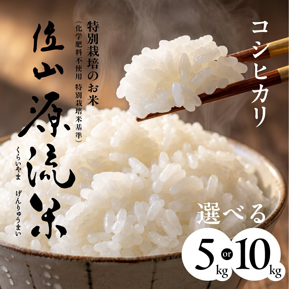 【ふるさと納税】【令和8年度産】位山源流米 コシヒカリ5kg 10kg | 新米 米 ごはん 農家 コシヒカリ おいしい 飛騨高山 ファームやまじん TD001 TD002