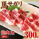 【ふるさと納税】【数量限定】馬サガリ 300g カルビ 焼肉 熊本 馬肉 冷凍【やまのや】[YDF025]