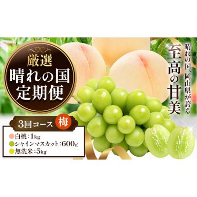 ふるさと納税 笠岡市 フルーツ 厳選 晴れの国定期便 シャインマスカット 600g 白桃 1kg 米 5kg 無洗米 3回
