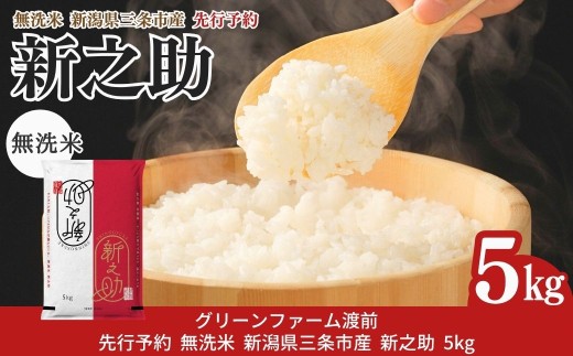 先行予約 新潟県三条市産 新之助 無洗米 5kg [グリーンファーム渡前] 令和8年産 2026年産 しんのすけ 令和7年度 【012S145】