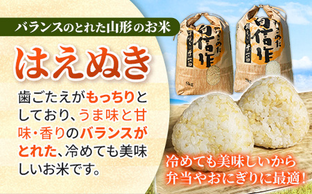 人気のブランド米　はえぬき　白米　10kg（飯豊町産）(R7年産）【価格改定】