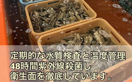 ＼先行予約／北海道 仙鳳趾名産 牡蠣 100g〜149g×25コ＋かきナイフ付き かき漁師直送 K1-1＜出荷時期：2024年10月1日ごろ〜順次出荷予定＞ ＜センポウシ : 釧路町の東 厚岸湾の西 