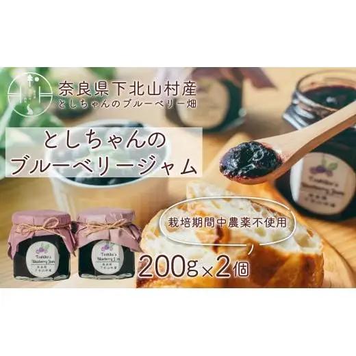【先行予約】9月～発送 としちゃんのブルーベリージャム200gx2個 手摘み 下北山村産 栽培期間中農薬不使用 無添加