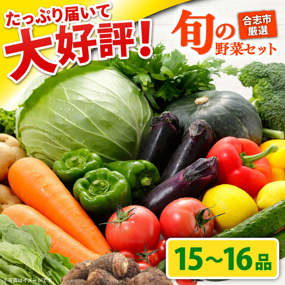【ふるさと納税】合志の旬のお野菜セット 15〜16品【一般社団法人クラッシーノこうし】[AYAB112]