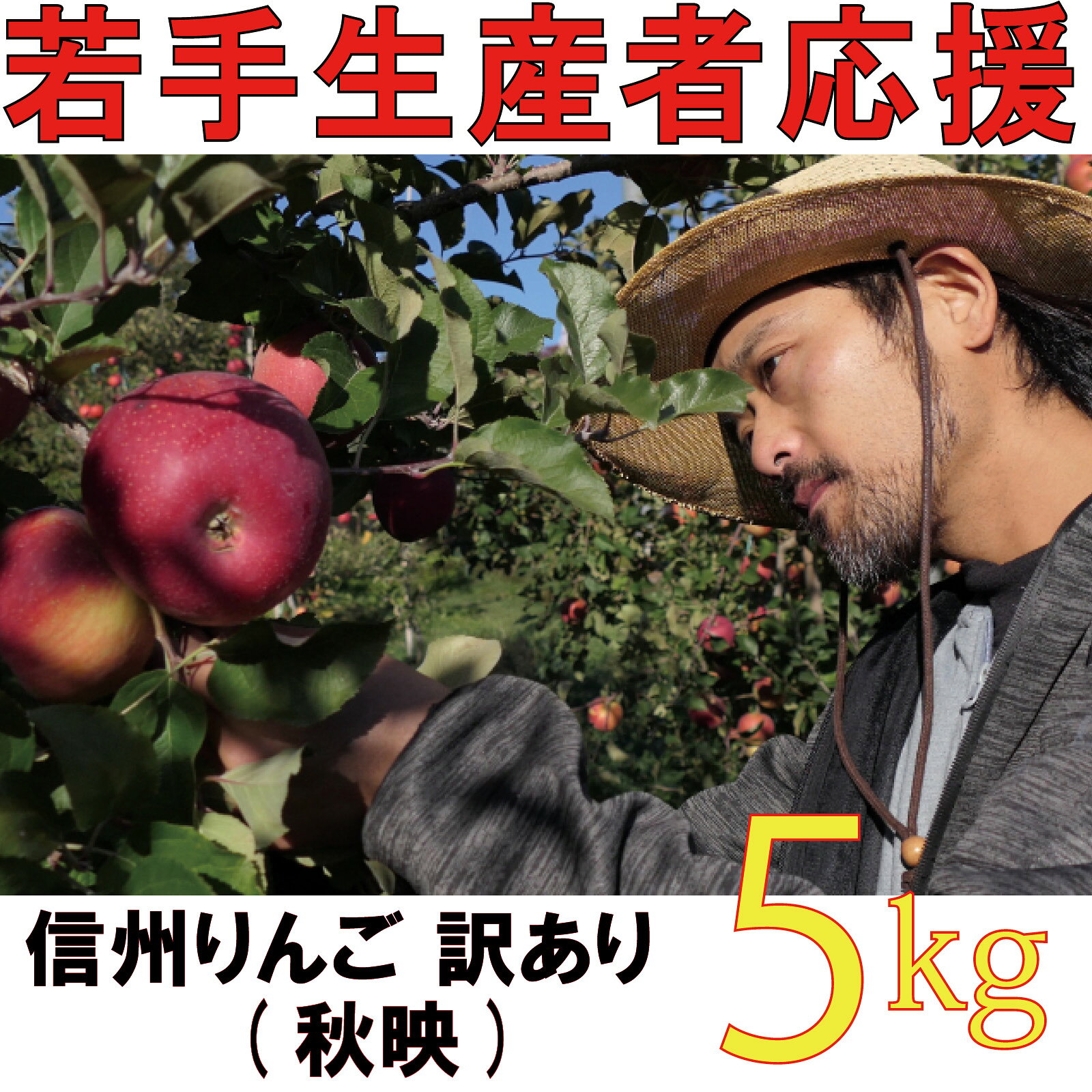 【ふるさと納税】【2026年 先行予約 令和8年産】 訳あり りんご 5kg 【若手生産者応援】秋映 伊藤 快 果物 フルーツ 先行 予約 信州 麻績村 不揃い 規格外 家庭用