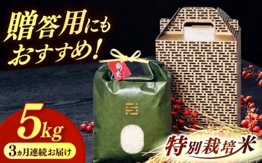 【黒箱】【全3回定期便】とくべつの中のとくべつ 特別栽培米 夢つくし 5kg itoshimacco《築上町》【株式会社やました】 [ABEX006-2]