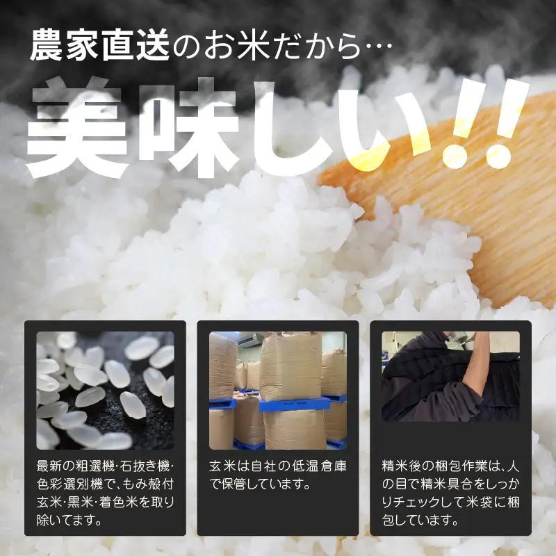 先行予約 定期便 6ヶ月連続お届け コシヒカリ 2kg (1袋) × 6回 計12kg 白米 ブランド米 2026年10月上旬以降順次発送 [B-8949]