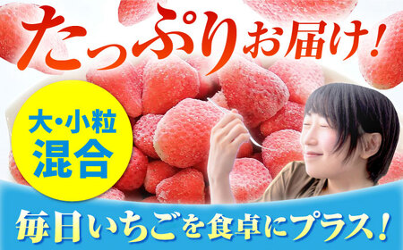 王様のいちご 摘みたてこおりいちご 1kg（冷凍いちご）いちごさん さがほのか【むらおか農園】フルーツ 果物 イチゴ [HAF007]