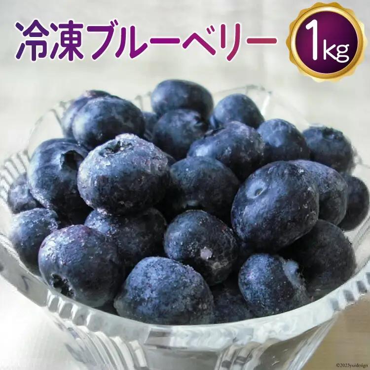 ブルーベリー 冷凍 1kg