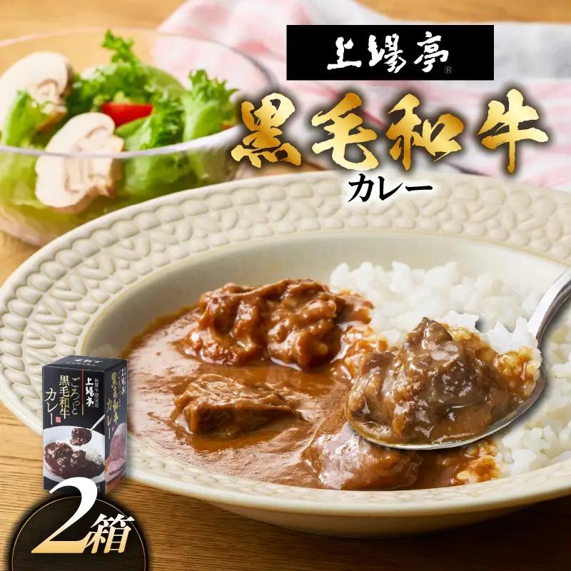 上場亭 ごろっと黒毛和牛カレー 2箱 ／ カレー【A217】