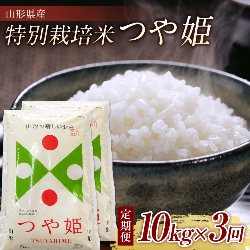 【ふるさと納税】 山形県産 特別栽培米 つや姫10kg （5kg×2) 全3回 F2Y-3918