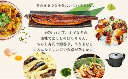 愛知県三河一色産うなぎ蒲焼き特大サイズ2尾+きざみうなぎ2食入りセット(長焼き2尾で400g+ きざみうなぎ50g×2食)・U022-19