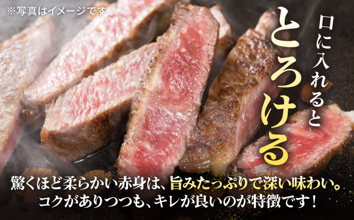 特選 壱岐牛 サーロインステーキ 200g×5枚《壱岐市》【太陽商事】[JDL022] 肉 牛肉 サーロイン ステーキ サーロインステーキ 赤身 焼肉 焼き肉 66000 66000円 のし プレゼン