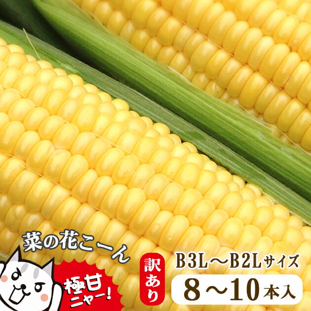 【ふるさと納税】朝採れ とうもろこし【訳あり】菜の花こーん B3L〜B2Lサイズ 8〜10本 とうもろこし コーン ふるさと納税 家庭用 訳あり品 産地直送 農家直送 旬 岩手県 一関市【先行予約 7月下旬以降発送予定】