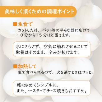 【予約：2024年7月中旬から順次発送】ところの白玉ねぎ 10kg ( 玉ねぎ タマネギ 玉葱 野菜 白玉ねぎ 10キロ 期間限定 辛みが少ない 生食 )【121-0008-2024】