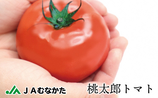 桃太郎トマト4kg（18玉～24玉）【ほたるの里】_PA0572