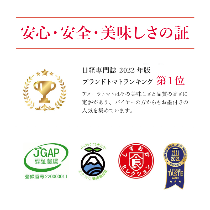 アメーラ トマト ミニトマト 10パック セット アメーラルビンズ 高糖度 7.5以上 化粧箱入り 産地 直送 新鮮 旬の 野菜 高級 フルーツトマト アメーラトマト トマト トマト トマト