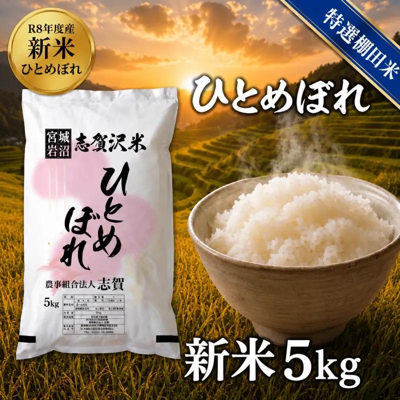 新米 特選棚田米  令和8年産 ひとめぼれ 5kg  精米