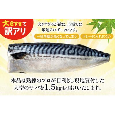 ふるさと納税 気仙沼市 訳あり 塩サバ フィレ 1.5kg [足利本店 20565942] |  | 03