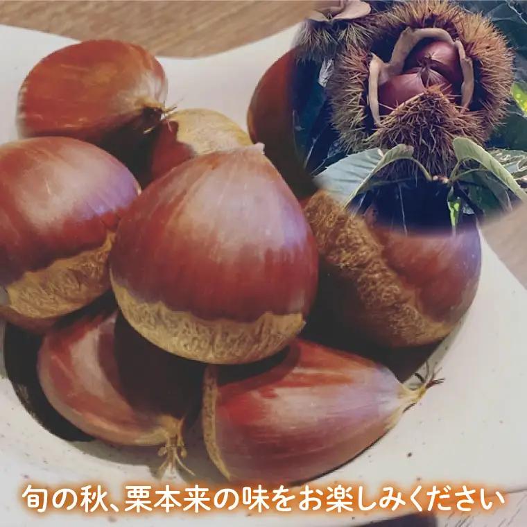 【2026年9月中旬より順次発送】石岡市鶴沼の栗（生栗）3kg（茨城県共通返礼品/石岡市）（KN-6）