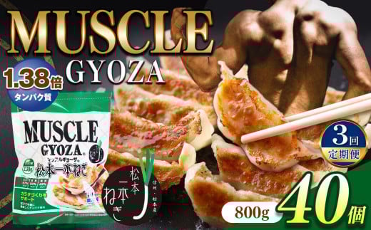 【定期便3回】MUSCLE GYOZA ～マッスルギョーザ～ 松本一本ねぎ（40個入り） | 餃子 ギョーザ 高タンパク 低糖質 低脂質 低カロリー マッスルギョーザ 長野県 松本市 信州産 ふるさと納税