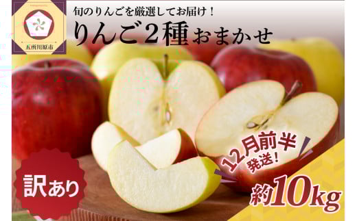 【2025年12月前半発送】 【訳あり】 りんご 約10kg 青森産 品種おまかせ2種以上