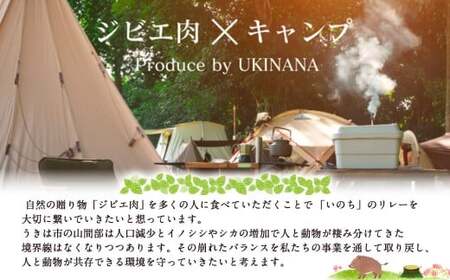 【ジビエ】天然猪肉BBQカット 300g×2パック 2024年11月から2025年4月 出荷予定