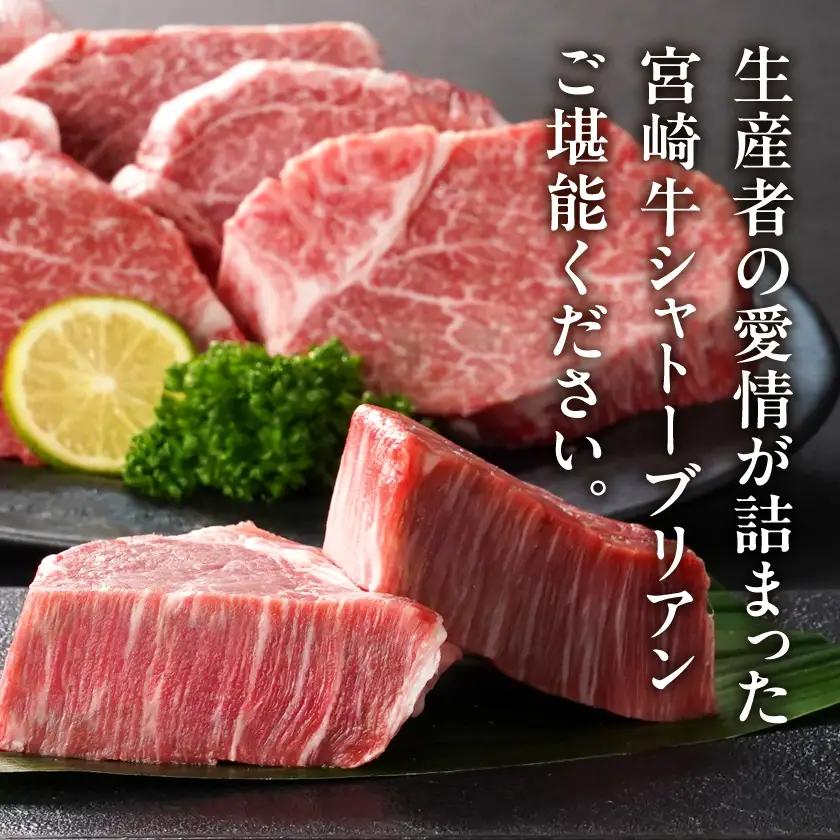 宮崎牛シャトーブリアンステーキ150g×8枚〔AP-N2-009-1200g〕_(都城市) 宮崎県産宮崎牛 シャトーブリアン ステーキ 宮崎牛