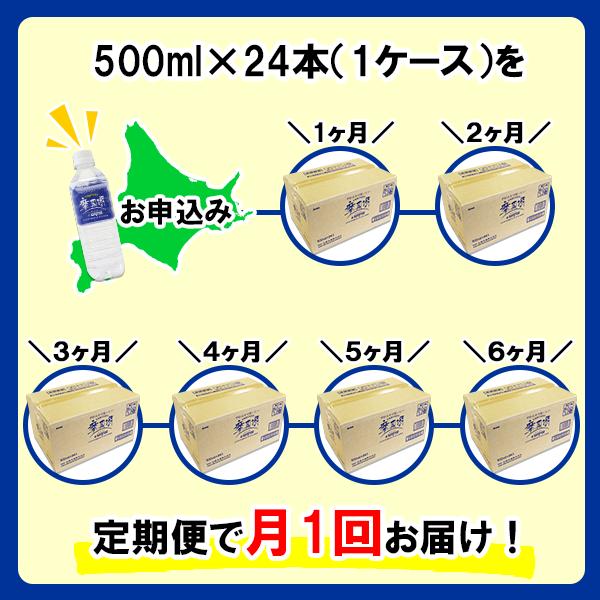 1157.定期便 6回 摩周湖の天然水（非加熱製法） 500ml×24本 計144本 硬度 18.1mg/L ミネラルウォーター 飲料水 軟水 湧水 ペットボトル 国産 屈斜路湖 北海道 弟子屈町_イ