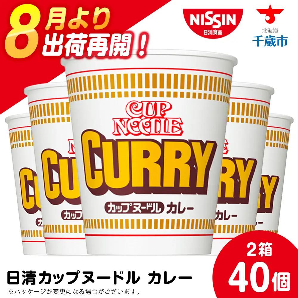 日清★カレーヌードル★2箱 合計40食