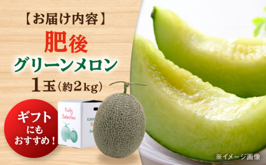 【2026年5月より発送 数量限定】肥後グリーンメロン 1玉 約2kg / メロン めろん melon 肥後グリーン 青肉メロン ネットメロン 高糖度 甘い ジューシー とろける 初夏 旬 フルーツ 果物 ご褒美 贅沢 デザート 熊本 熊本県 合志 合志市 九州 国産 お取り寄せ 【合同会社 福福堂】[AYAC053]