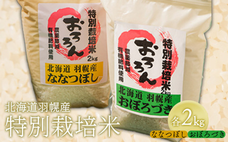 【2025年産】 北海道羽幌産 特別栽培米 おぼろづき2kg・ななつぼし2kgセット【0812002】