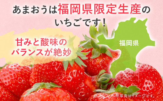 【2027年発送先行予約】厳選大粒あまおう約250～270g×2パック) いちご フルーツ 果物 あまおう 苺 イチゴ ギフト 大粒 福岡【発送時期2027年2月上旬～2027年4月中旬】