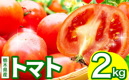  とまとトマト 約2㎏  | 栃木県 下野市