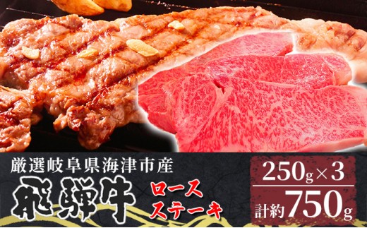 
[№5533-0317]【飛騨牛】海津市産ロースステーキ250g×3 【配達不可：離島】
