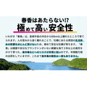 【2026年 3月以降順次お届け】【生のいわがき春香 SSサイズ6個】 岩牡蠣 生牡蠣 牡蠣 いわがき春香 生食可 旬の時期だけ