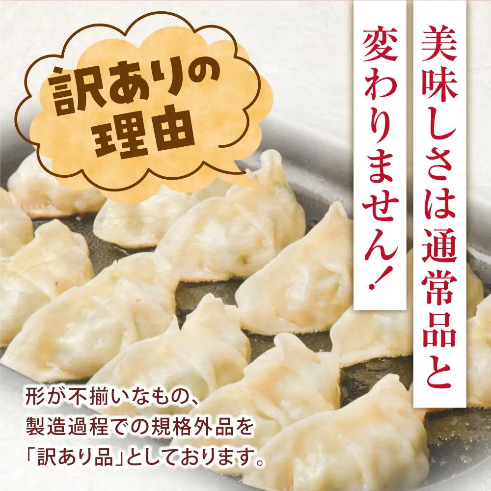 訳あり 本格生餃子 100個(50個×2袋) 餃子