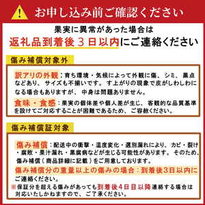 【先行予約：2026年11月20日～発送】訳あり まどんな 3kg 数量限定 愛南町青果市場組合