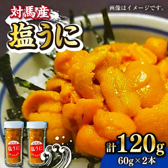 【ふるさと納税】対馬産 塩うに 60g×2本《対馬市》【保家商事】 [WAA018] うに ウニ 瓶 瓶入り 雲丹 塩ウニ 海鮮 海産物