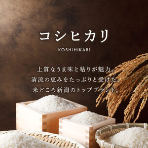 【ふるなびWEEK対象】無洗米 新潟県産 令和6年産 コシヒカリ 5kg 精米 したてをお届け 新潟のど真ん中 見附市 こしひかり 米 お米 白米 国産 ごはん ご飯 FN-Limited
