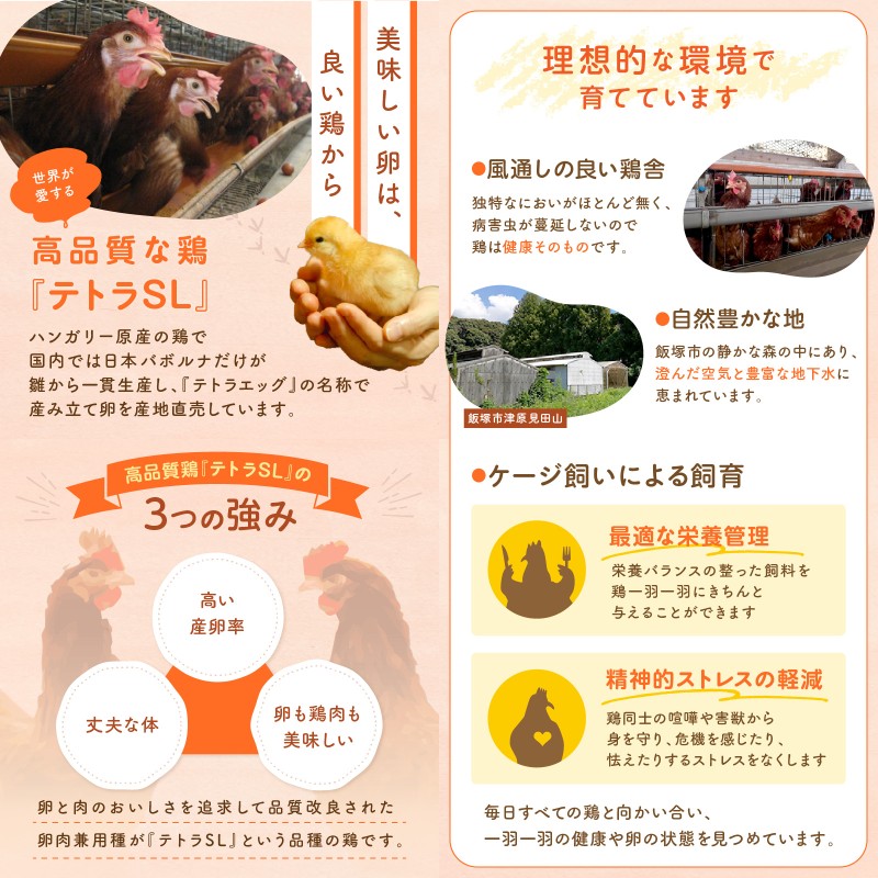 テトラエッグ(40個/月)【3ヵ月定期便】_イメージ2