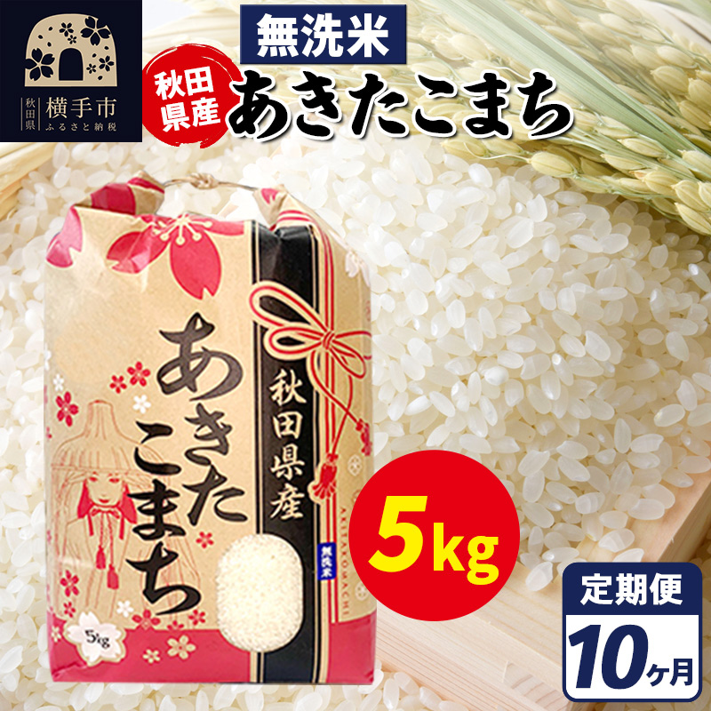 《定期便10ヶ月》あきたこまち 5kg【無洗米】令和7年産 秋田県産 こまちライン