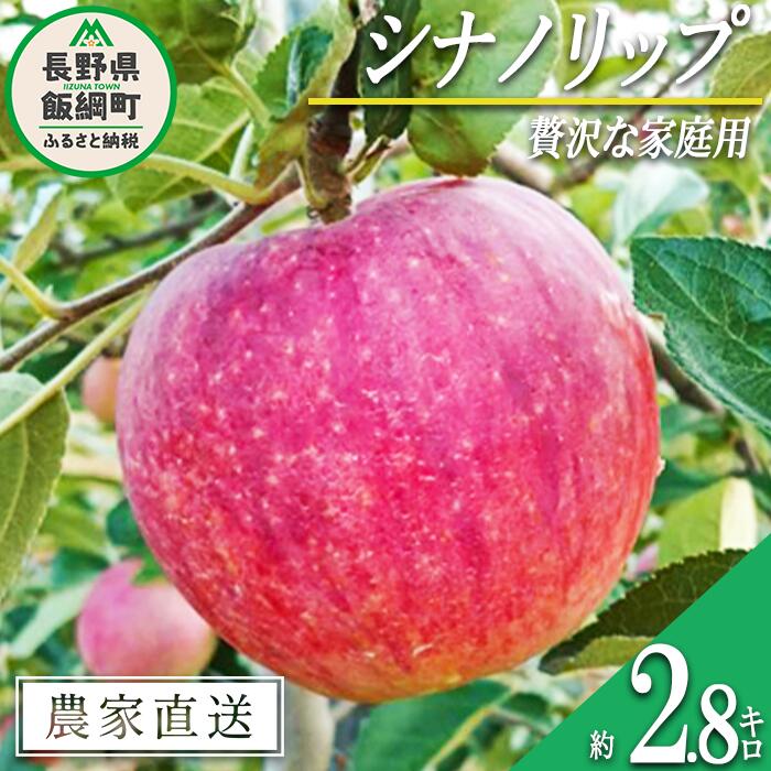 【ふるさと納税】 りんご シナノリップ 贅沢な 家庭用 2.8kg 信州りんご☆小山園☆ 沖縄県への配送不可 令和7年度収穫分 エコファーマー認定 小山園 長野県 飯綱町 〔 信州 果物 フルーツ リンゴ 長野 12000円 予約 農家直送 〕発送時期：2025年8月中旬〜2025年8月下旬