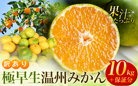 【先行予約】 訳あり 極早生温州みかん 約10kg＋傷み保証分400g 2S～3Lサイズおまかせ 【2025年9月下旬から10月中旬までに順次発送予定】/ 家庭用 ご家庭用 訳アリ わけあり ミカン 