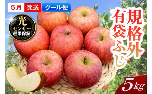 【2026年5月上旬発送】【規格外】 りんご 約5kg 有袋ふじ スマートフレッシュ™貯蔵 または CA貯蔵 【クール便】 青森県産