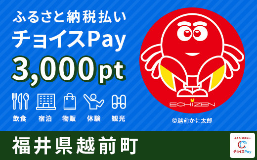 
越前町チョイスPay 3,000pt（1pt＝1円）【会員限定のお礼の品】
