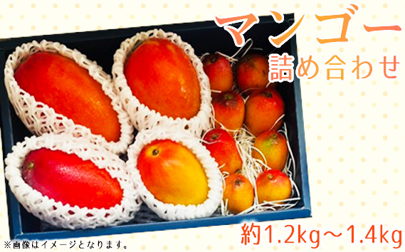 名もなきマンゴー詰め合わせ約1.2～1.4kg　大きさ不揃い