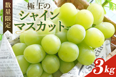 ＜2026年 先行予約＞ シャインマスカット 数量限定 3kg 農園直送 期間限定 果物 フルーツ ブドウ 葡萄 ぶどう 9月1日以降発送 冷蔵 小美玉市 70-K