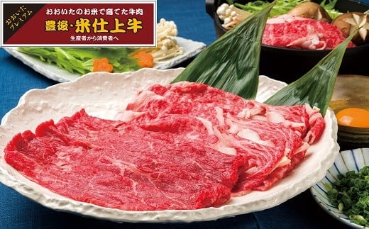 豊後・米仕上牛ロース・もも肉すき焼きセット 600g