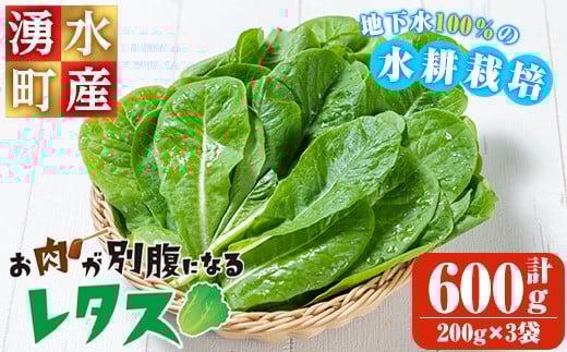 
            y470 《先行予約受付中！2025年9月以降順次発送》お肉が別腹になるレタス 計600g (200g×3袋) 国産 九州産 鹿児島県産 湧水町産 野菜 やさい レタス ロメインレタス 焼肉 焼き肉 バーベキュー BBQ 冷しゃぶ サラダ 水耕栽培【霧島製萌】
          